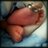 perznchic's avatar