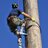 APFExhibition's profile image