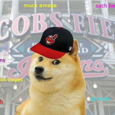 tribe doge