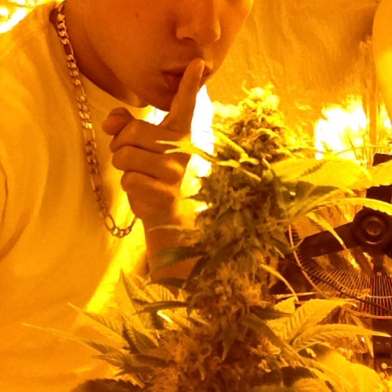 I smoke two blunts before i smoke two blunts

Avi is me