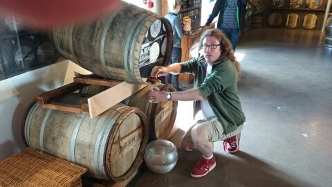 dbossenb's profile picture. 