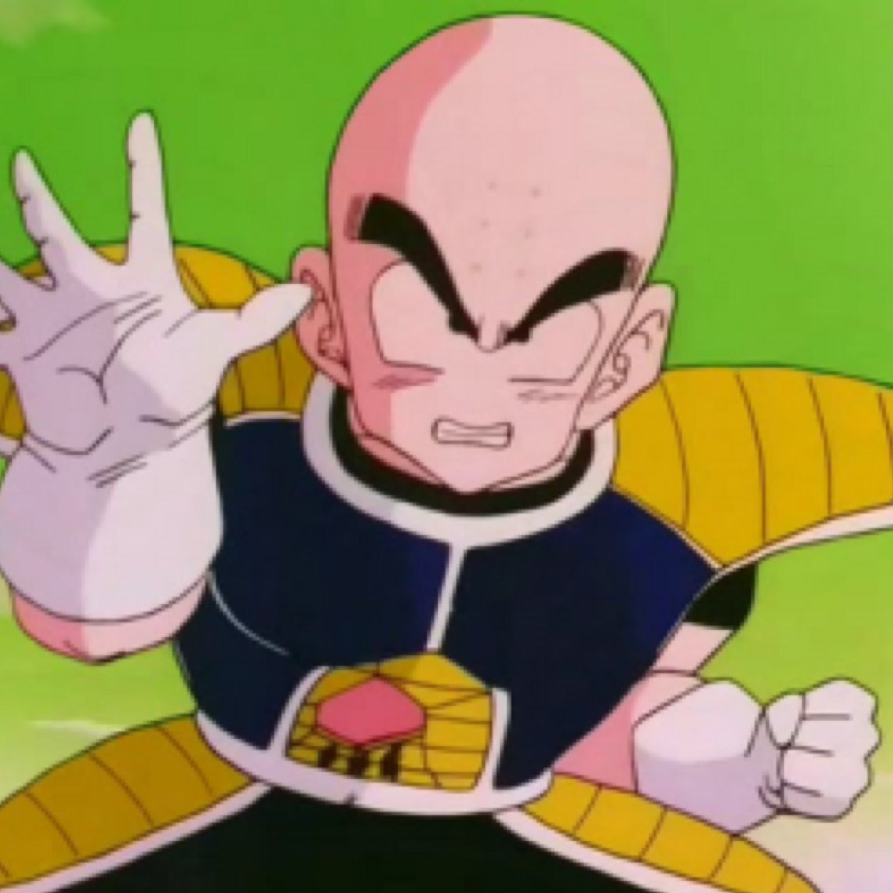 I am a human named Krillin. . My best friend is Goku. I like bald. Hairs too.