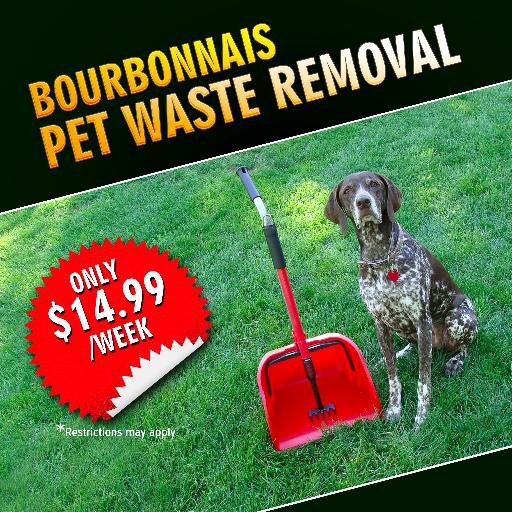 Dog waste removal service in Bourbonnais, Illinois.
Reach us at (708) 433-9405 or bourbonnaiswasteremoval@gmail.com
Only $14.99/week