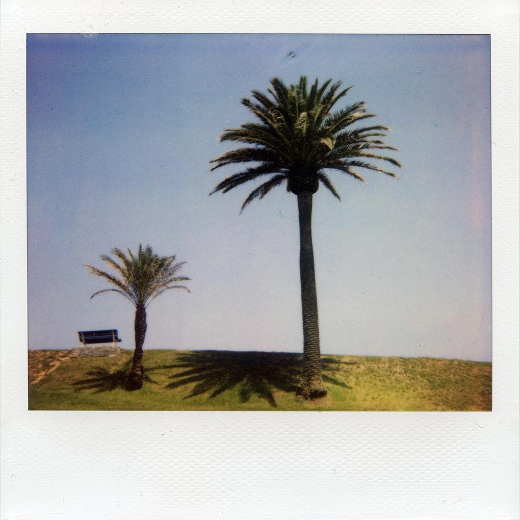 TresDubois's profile picture. ★ Player of records // Facilitator of good times ★