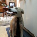 Mark Manning - @MarkManning48 - Twitter