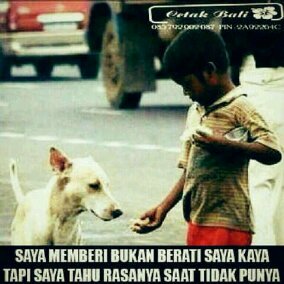 jljljljljlp's profile picture. 