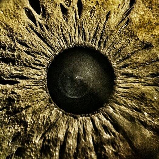 Les deux yeux biens ouverts.