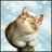 paurans's profile image