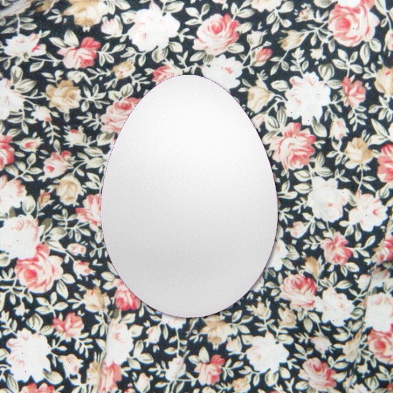free follow from @dualityliam !