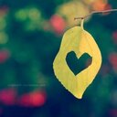 Areej Ahmed - @901Free - Twitter