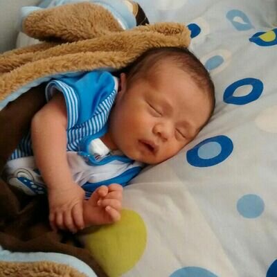 leidamed's profile picture. 