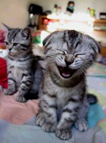 ol64y8fq79x16d's profile picture. 北原 亞以子とジグソーパズル とDIY が趣味。中華料理が好き。はなの舞も良いけどおいしいお店ないかなぁ。 ヾ(=^▽^=)ノ 