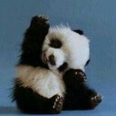 Wesley Ackerman - @Wesley_02993 - Twitter