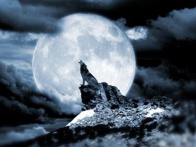 arodmcguire2013's profile picture. https://t.co/O82wC6sDM4