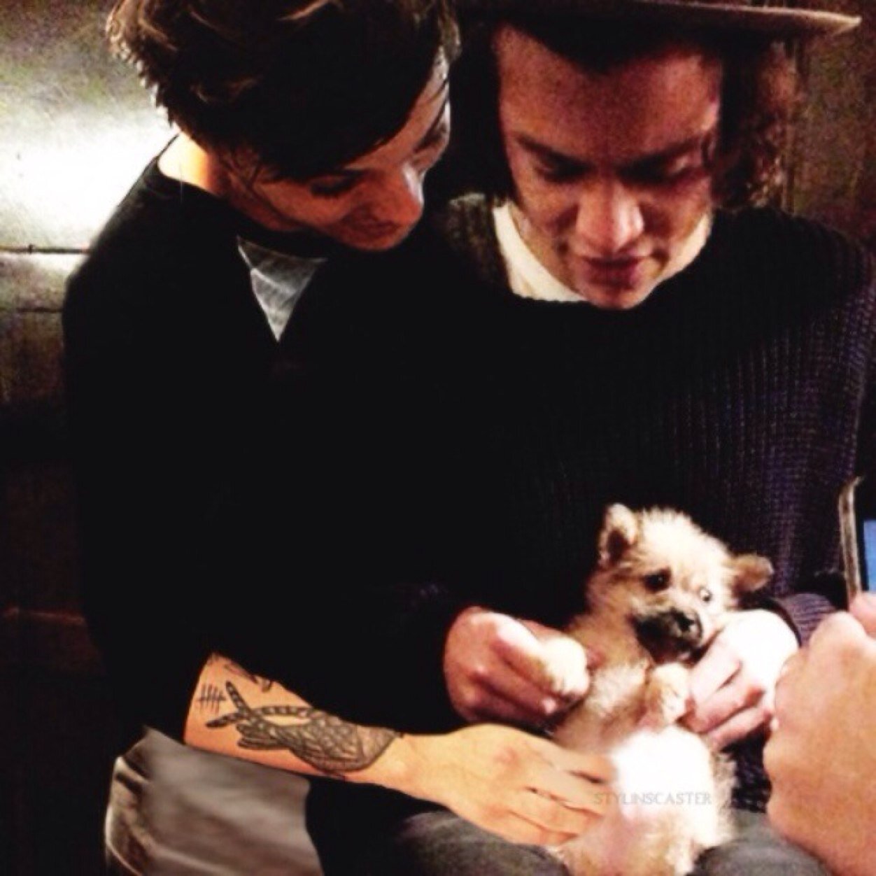 liamsmane's profile picture. Follow @somewherezayn xxxxxxxxx