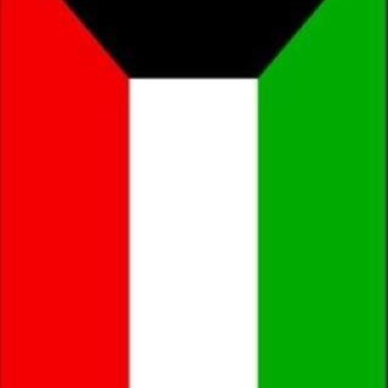 ( الا بِذِكْرِ اللَّهِ تَطْمَئِنُّ الْقُلُوبُ )