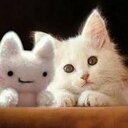 Chiang Edith  - @ChiangEdith - Twitter