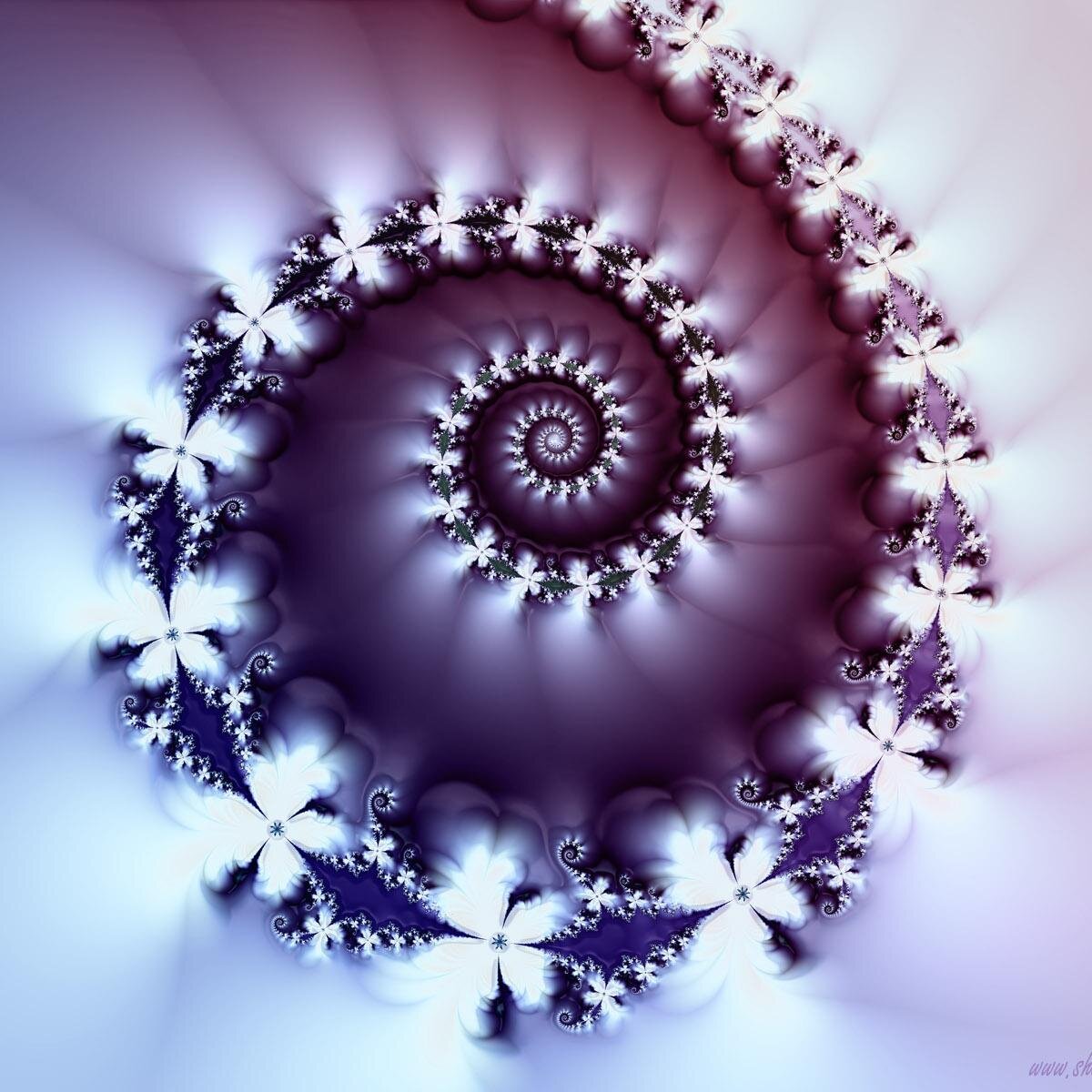 IsraMorinehtar Profile Picture