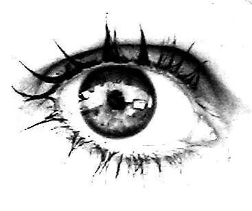 chezep's profile picture. 