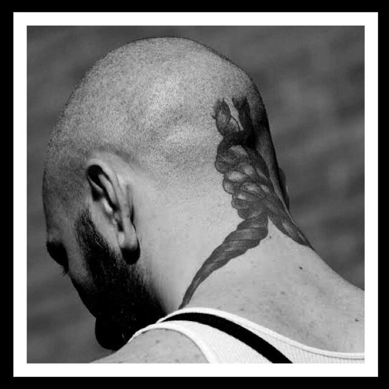 BadmanShark's profile picture. Serious Business