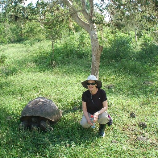 GGeigert's profile picture. Curious person