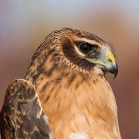 SRMS (@srms_smcps) 's Twitter Profile
