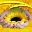 Manuel Maceiras - @maceiras_manuel - Twitter