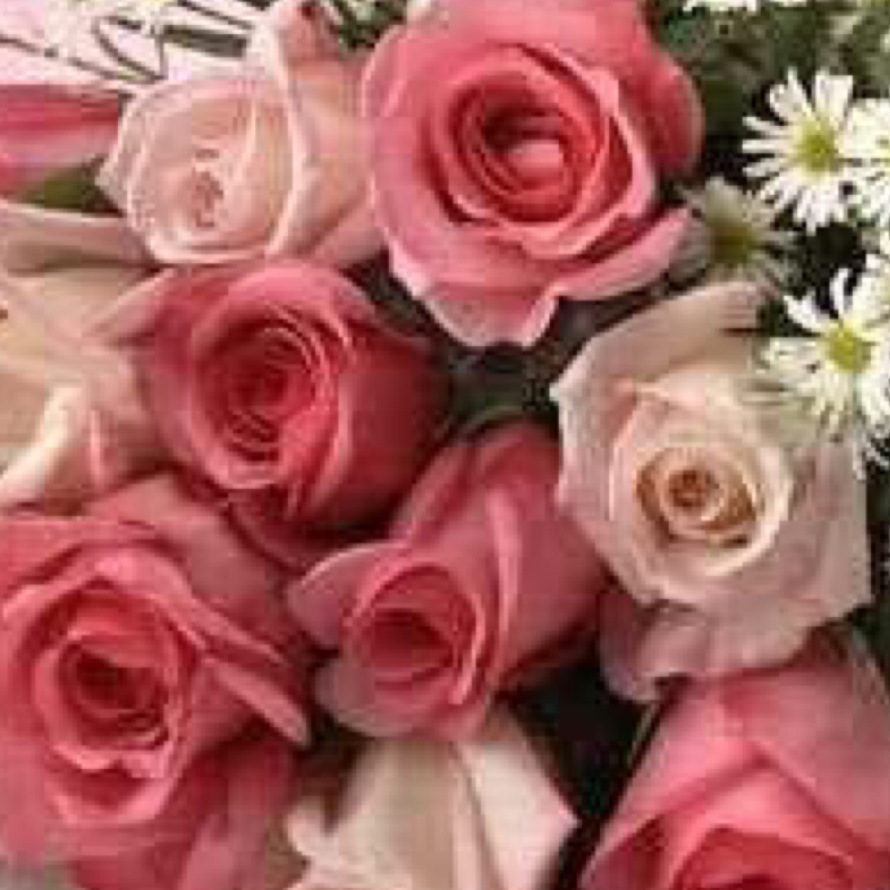 Ma7d_shraty11's profile picture. 