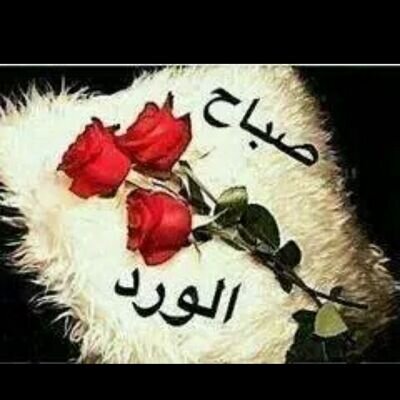 ‏kik hamdiail123456  انا موجود ينفع وانا نفسي انيك اوى