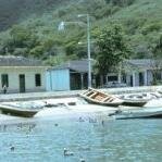 jesusmorillo197's profile picture. Riocaribero, contador público, siempre en busca de lo justo.