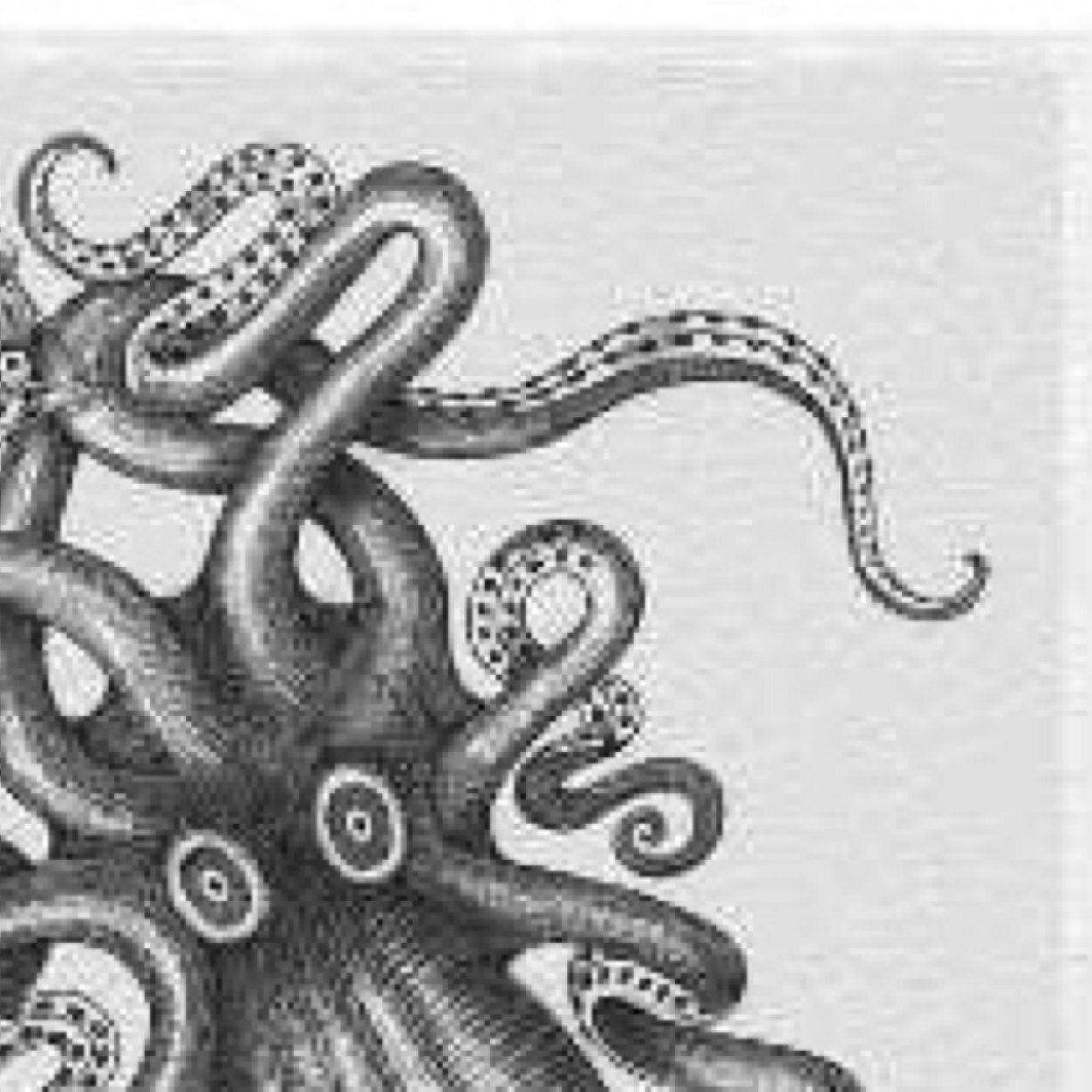 pepsikraken's profile picture. Personal account for the head nerd @ The Graded Gamer.  Because one is just never enough.