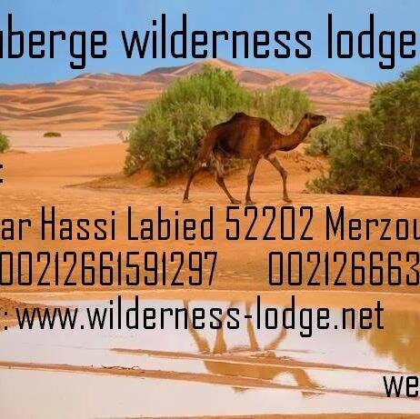 Adress: Kssar Hassi Labied Merzouga