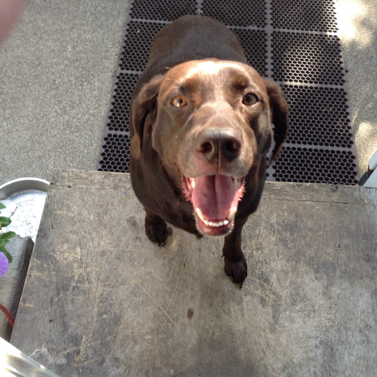 icecream88311's profile picture. 