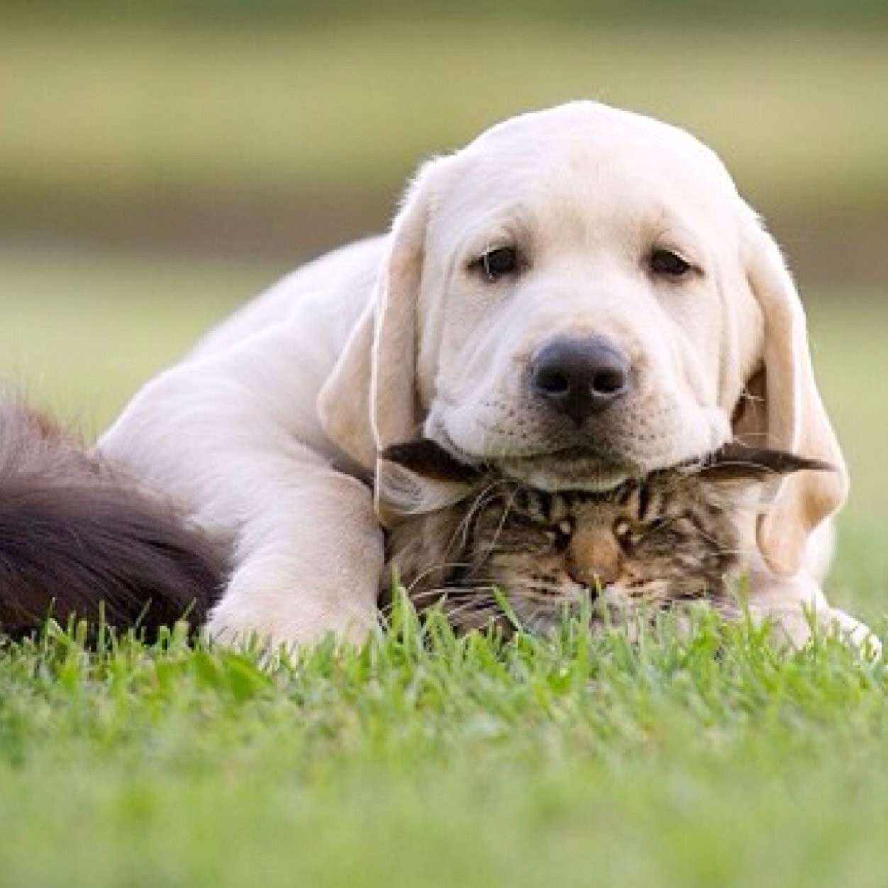 everyone deserves a little compliment in their lives