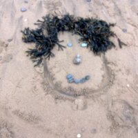 Tracy Bale (@tracybale1) 's Twitter Profile Photo