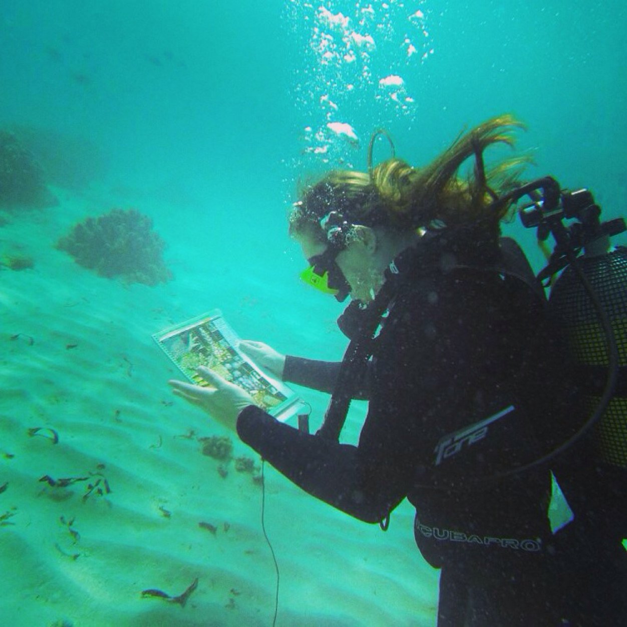 AquaMaggie's profile picture. “either you decide to stay in the shallow end of the pool or you go out in the ocean” - christopher reeve