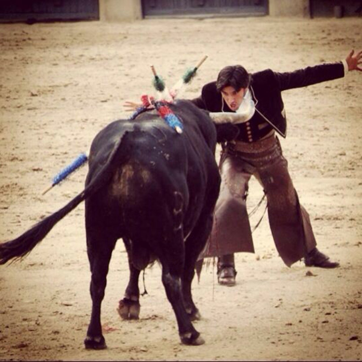 Cuenta Twitter creada especialmente para los amantes de los caballos y de los toros. #Venturista.