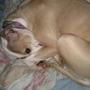 Hailey reed - @CrazyDemonGurl - Twitter