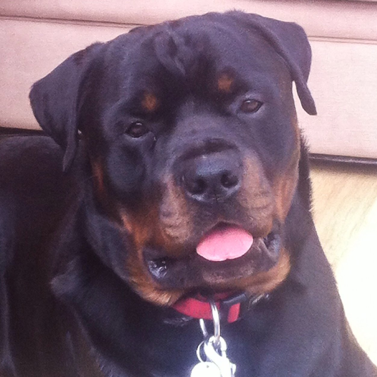 GWR802's profile picture. 