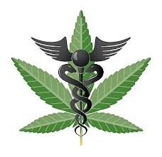 FLAmendment2's profile picture. Medical Marijuana Campaign Director