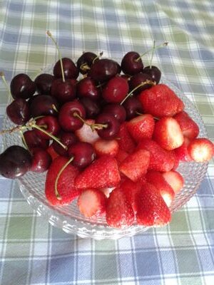 mimostegi's profile picture. ascoltare, sentire, vedere, questo vuol dire..crescere e migliorare