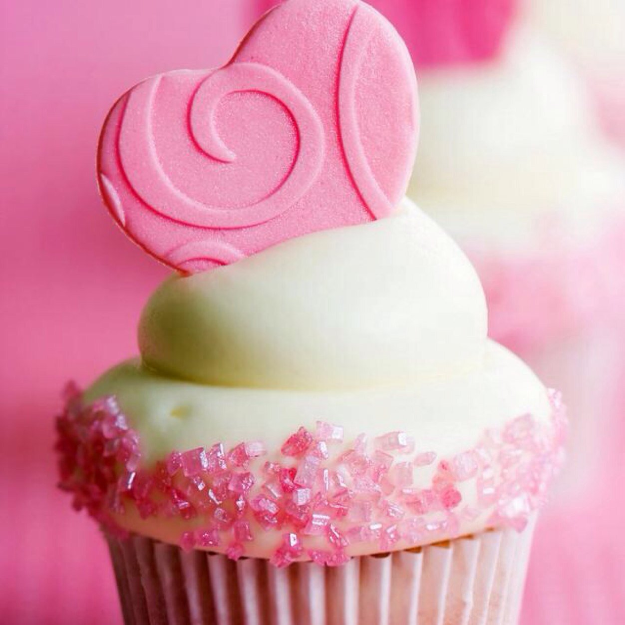 GOD ☝️
  
  cupcakes

   married to music 

      smart af