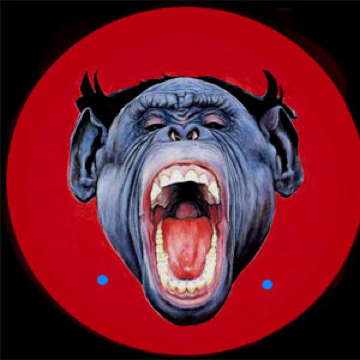 chriskalis982's profile picture. 