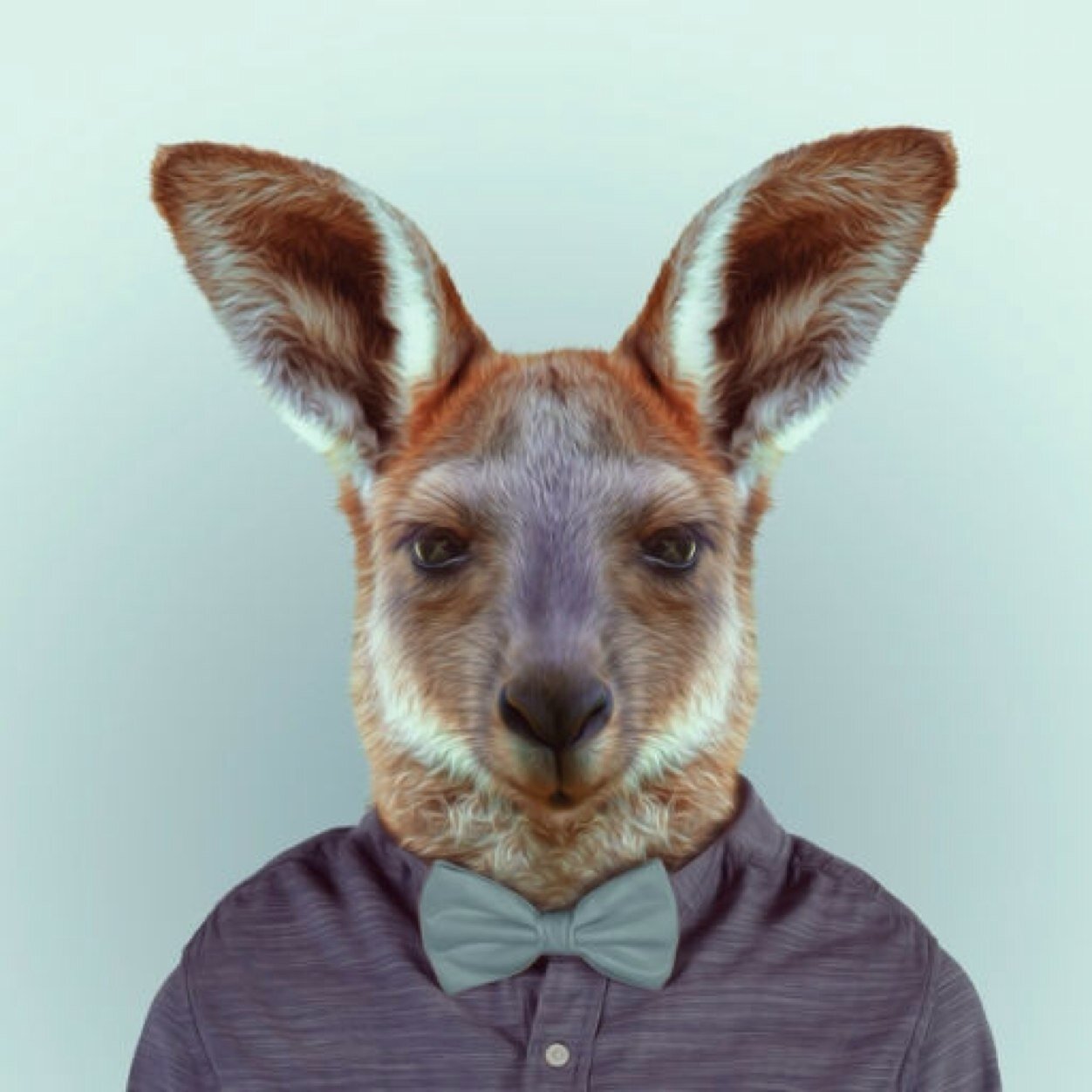 GiammyMcMario_'s profile picture. 33 | Web & Graphic Designer - Multimedia Editor - Marketing Manager | Creativity is the best weapon