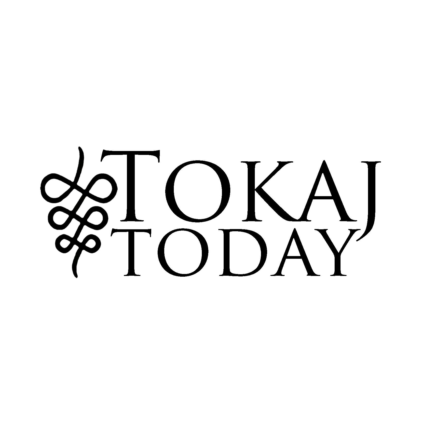 Tokaj Today is my news and travel website that brings you all the latest from Tokaj, and is also a platform to book private wine trips with me to the region.