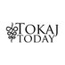 Gergely Somogyi (@tokaj_today) Twitter profile photo