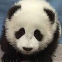 MaxDarling - @MaxDarling4 - Twitter