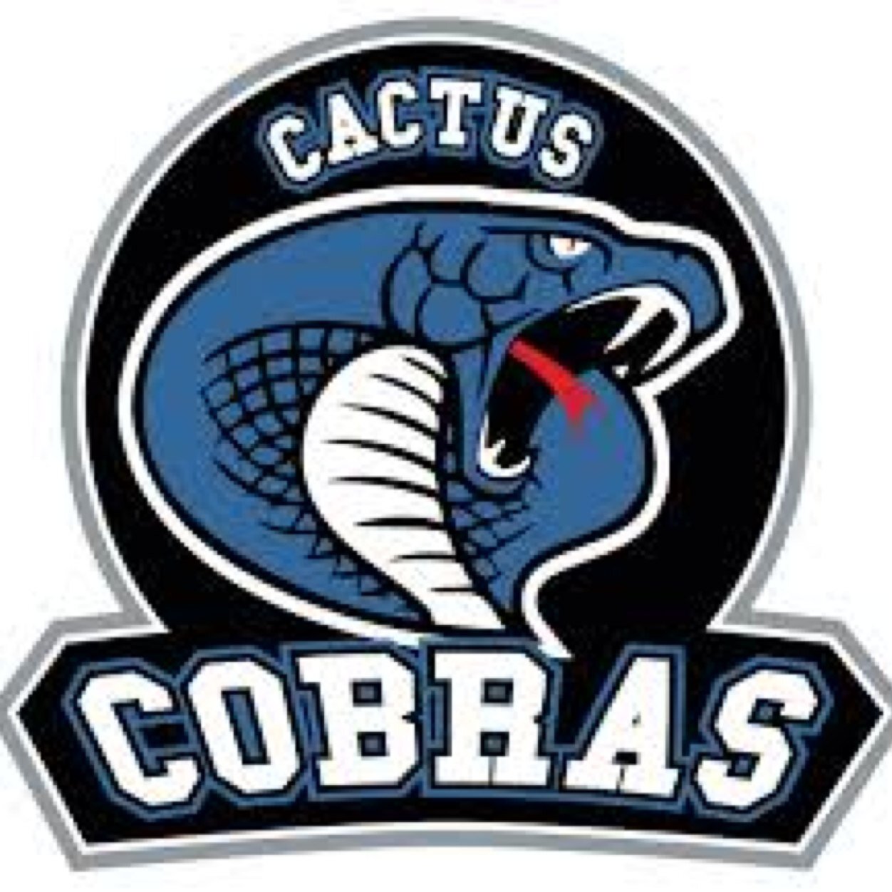 Cactusgossip's profile picture. 