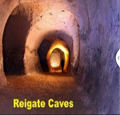 Reigate Caves are run by a local charity completly by volunteers.  Open May to September second  Saturday of the month. 
trips are run every 20 mins.
no dogs.