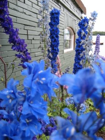 Creative Alaskan. Searching for Components of a Quality Life. Event Planner. Sick of Party Politics. Let's Build a Better World & Cut the Crap.